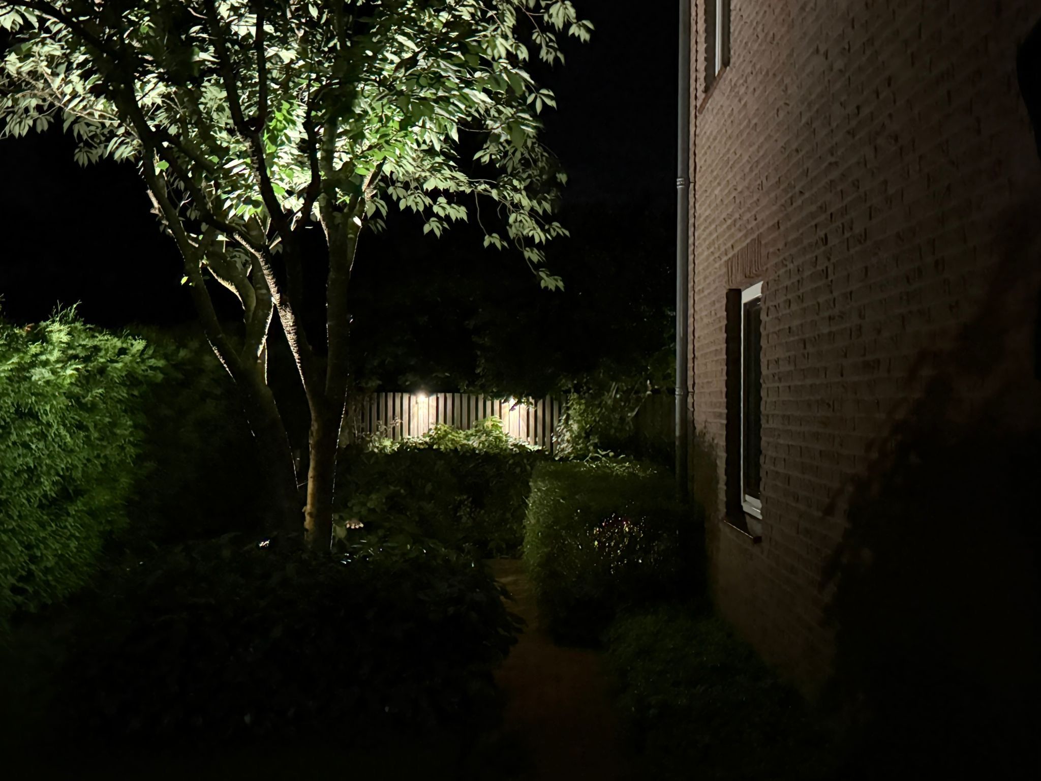 Foto 54 van Reelaan 30