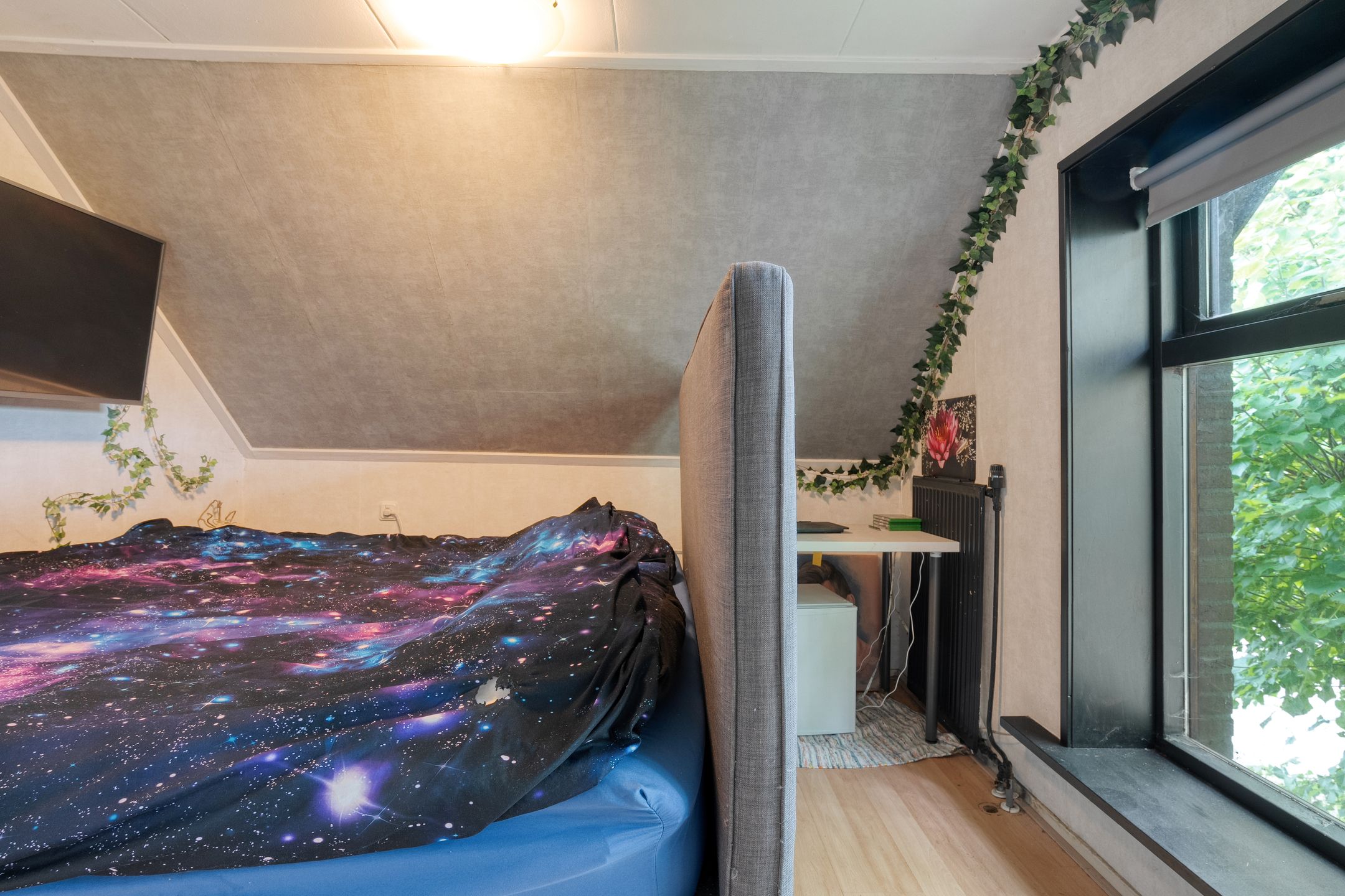 Foto 18 van Stegerensallee 14