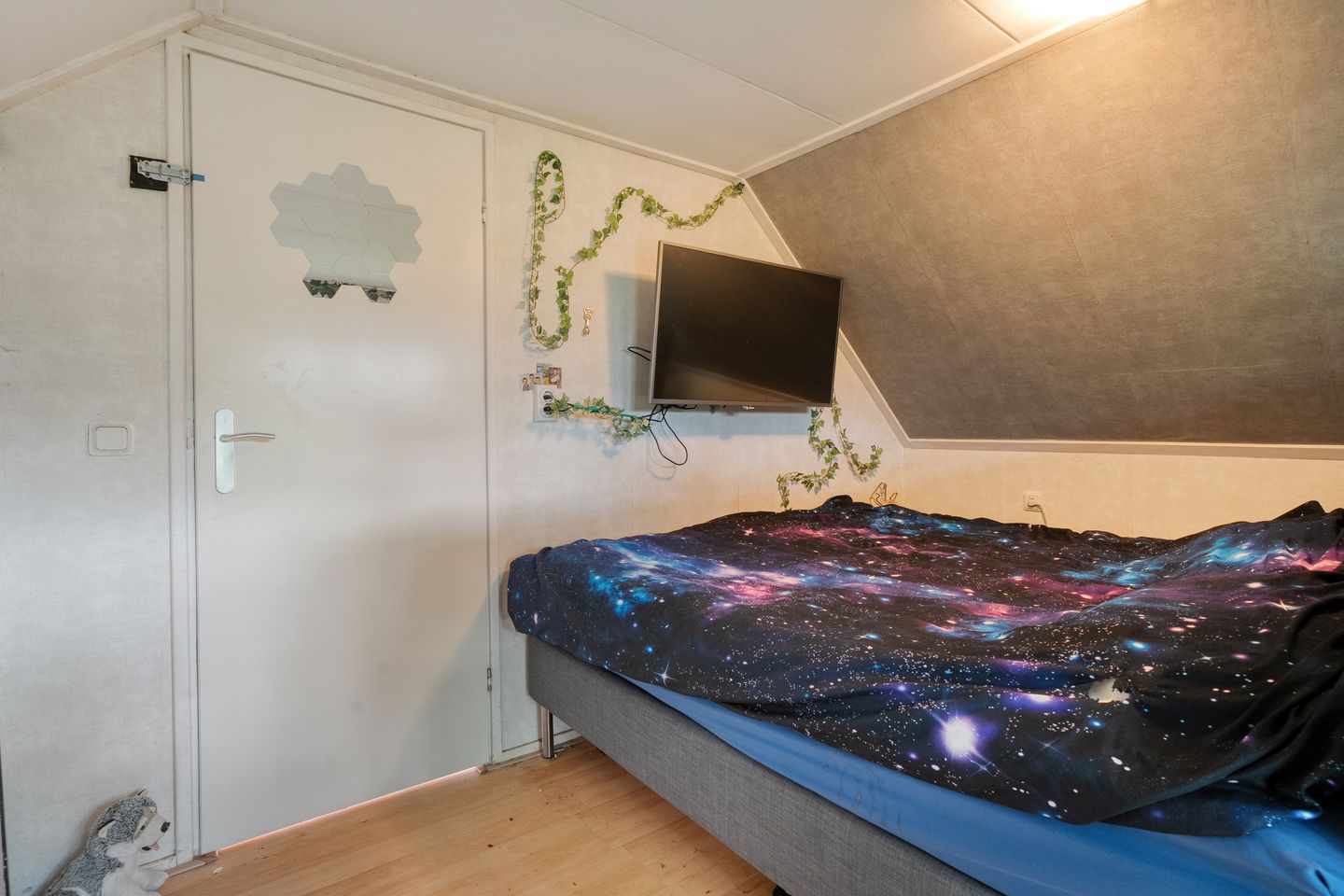 Foto 19 van Stegerensallee 14