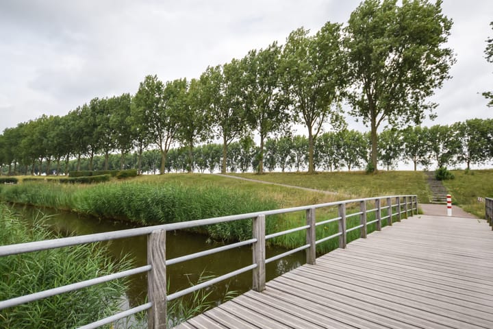 Foto 43 van Zuster Boerestraat 13