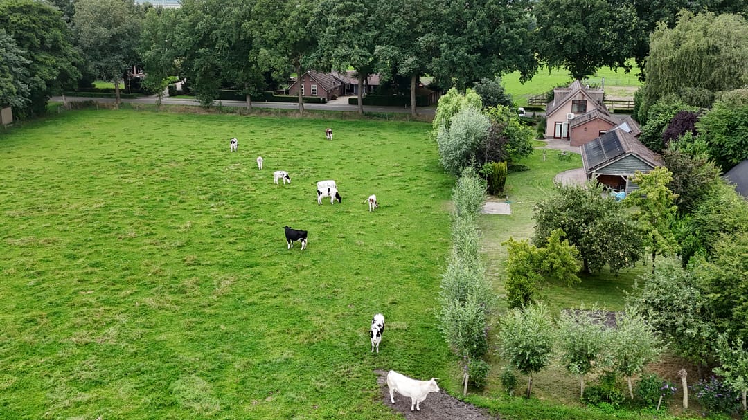 Foto 43 van Stegerensallee 14