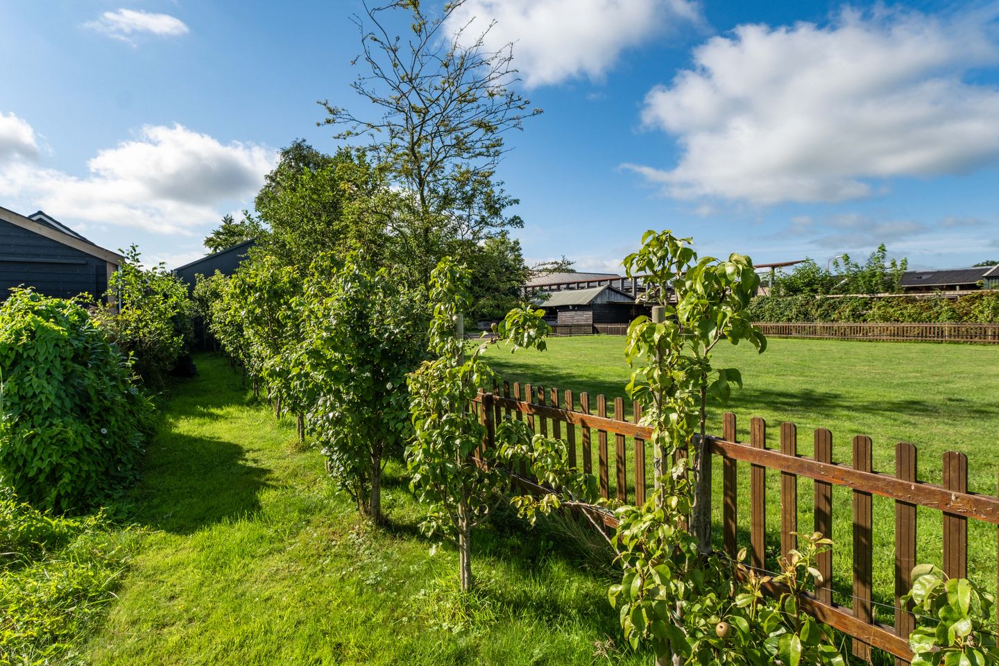 Foto 85 van Pieter Durksstrjitte 44-A