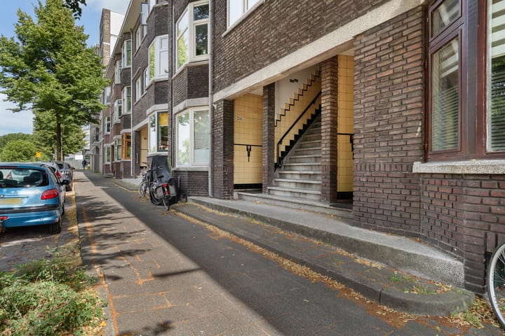 Foto 7 van Schiedamseweg 210