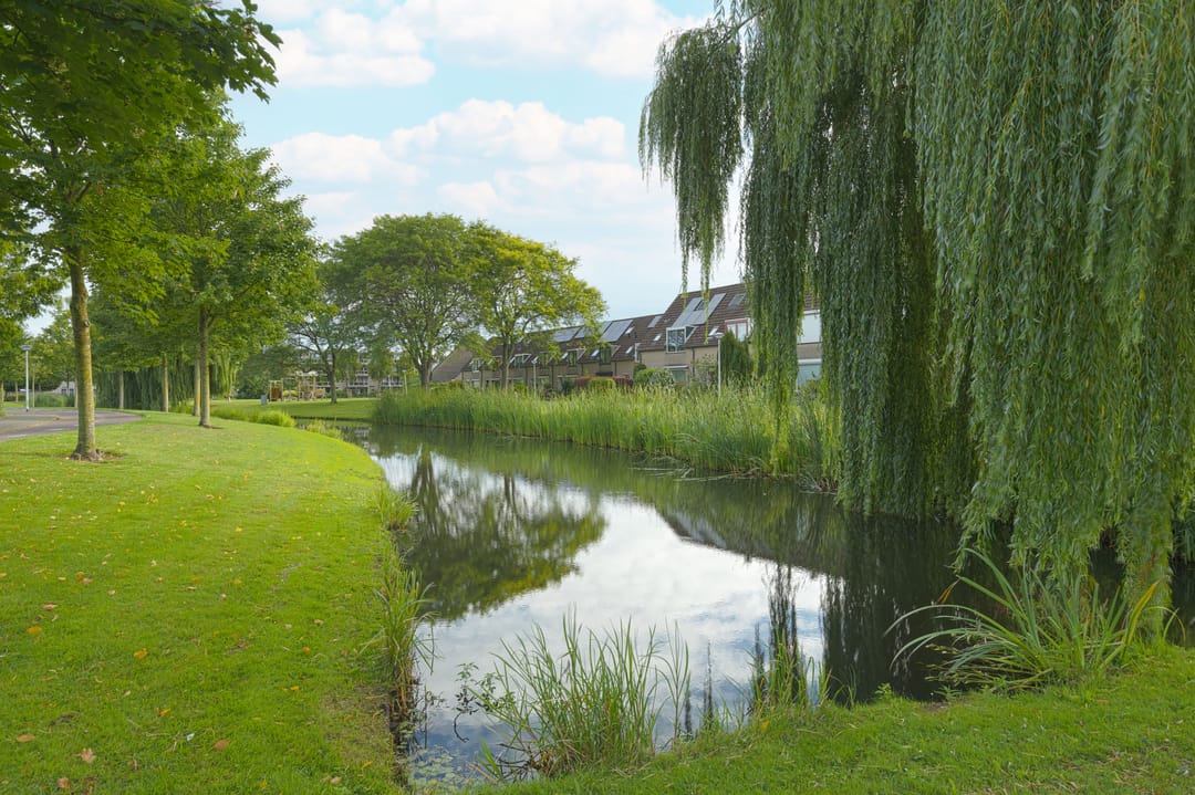 Foto 31 van Van Pallandtvliet 25