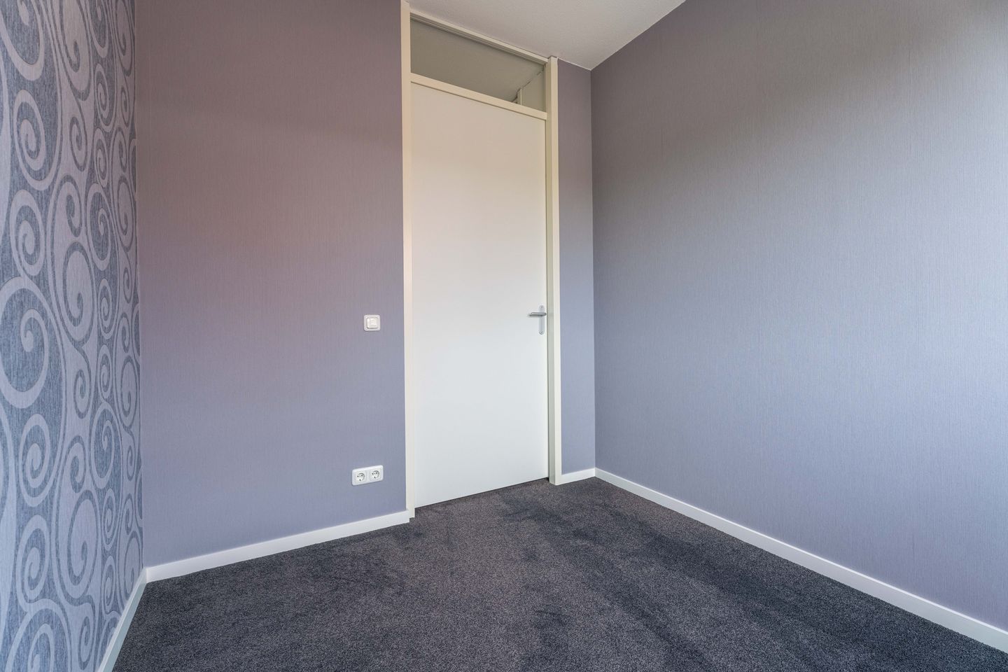 Foto 19 van Graslelie 1