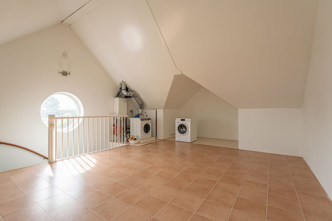 Foto 23 van Graslelie 1