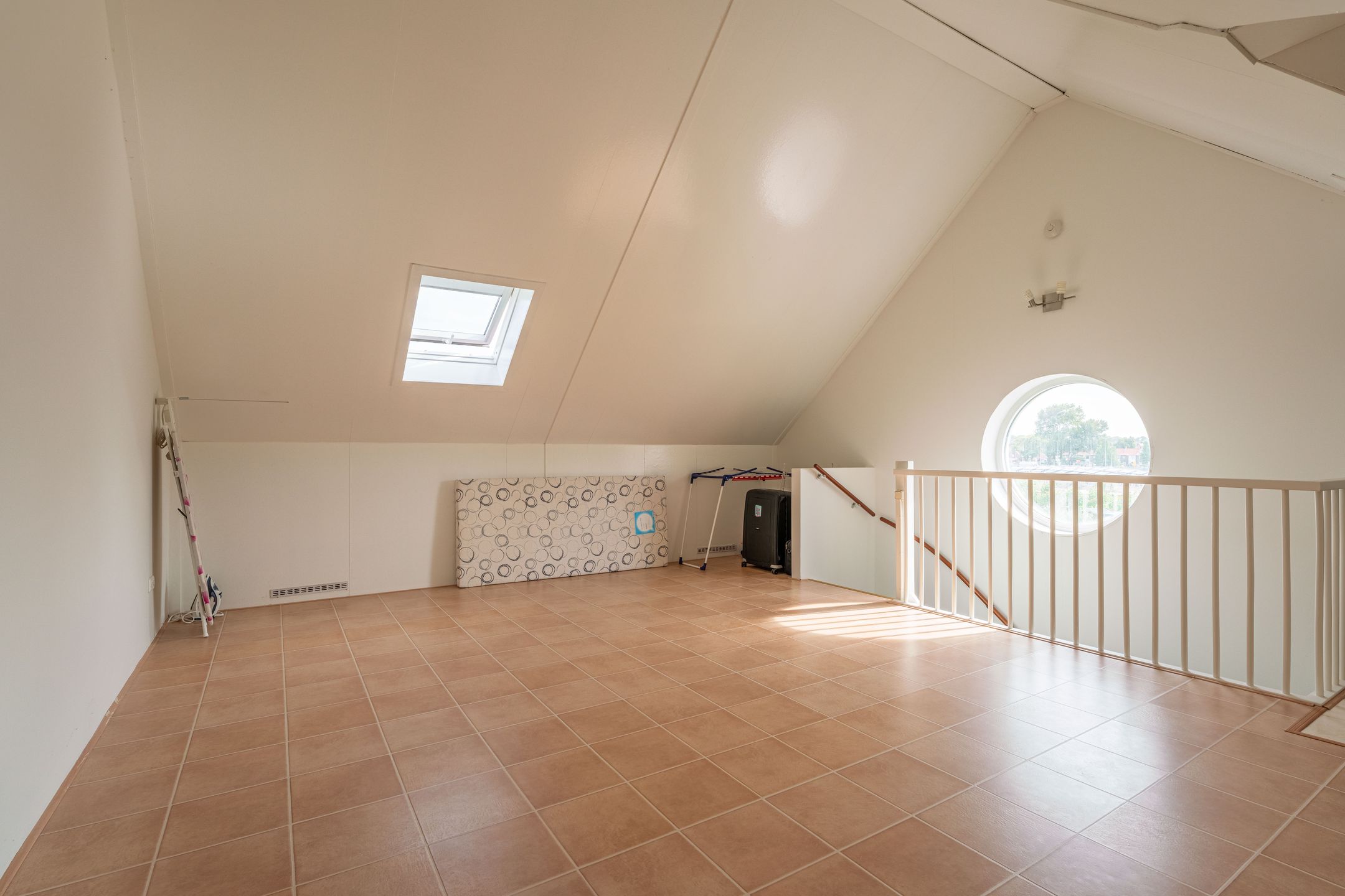 Foto 24 van Graslelie 1