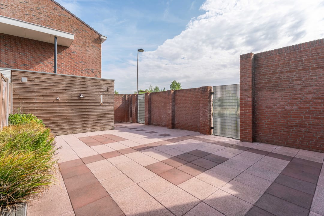 Foto 28 van Graslelie 1