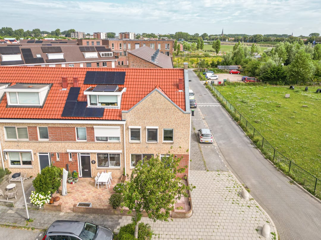 Foto 31 van Graslelie 1