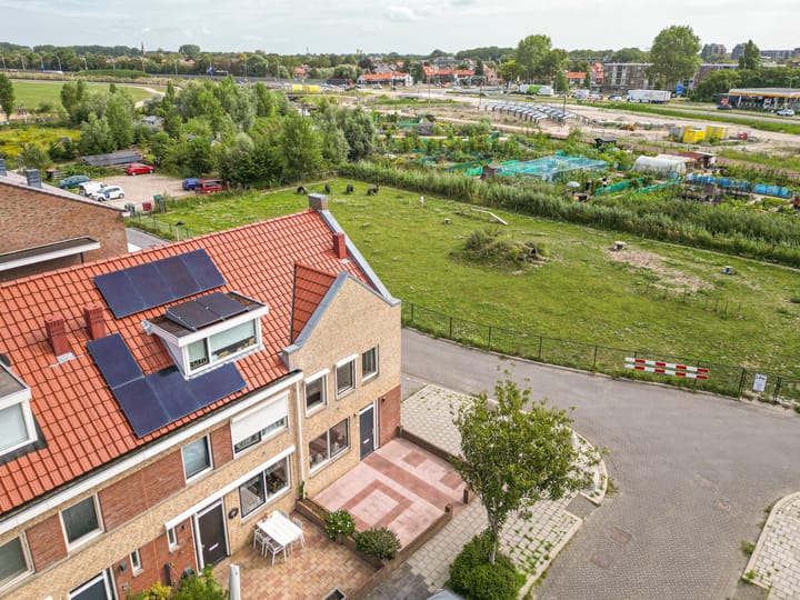 Foto 33 van Graslelie 1