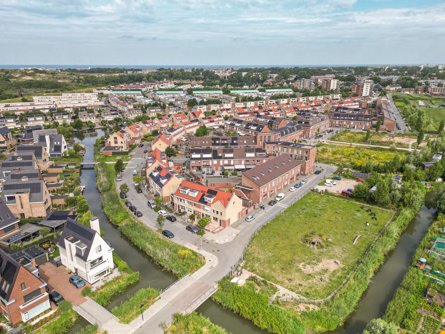 Foto 34 van Graslelie 1