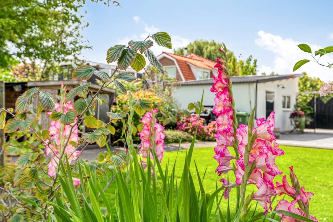 Foto 43 van 's-Gravenweg 147