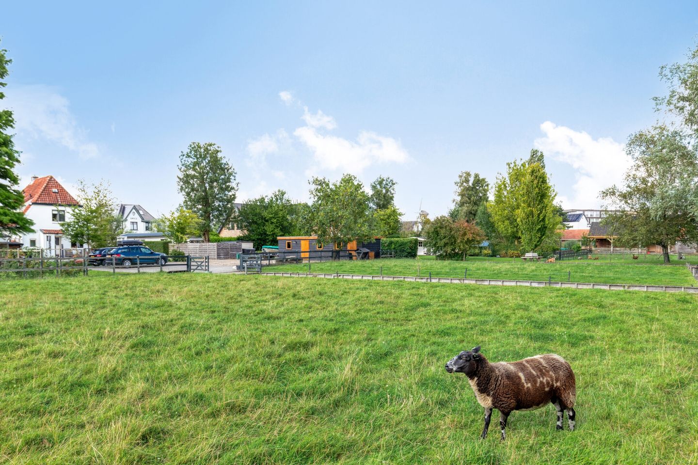 Foto 50 van 's-Gravenweg 147