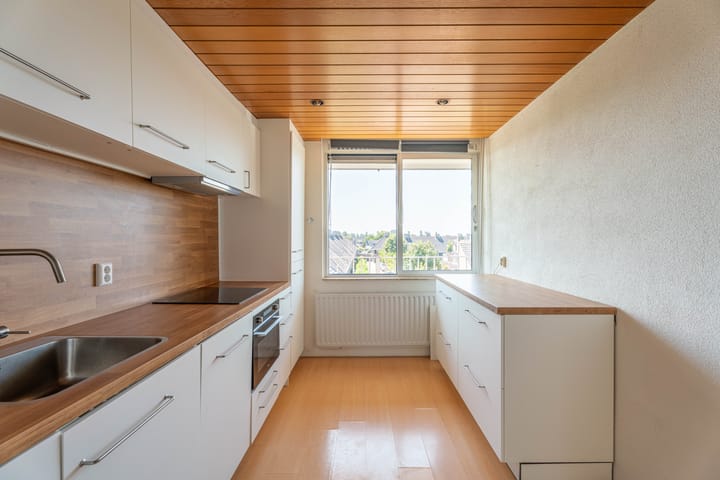 Foto 8 van Mercuriusstraat 211