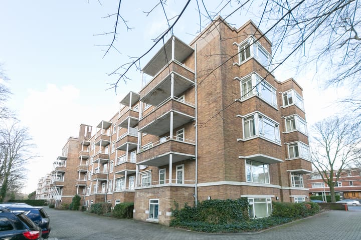 Van Alkemadelaan 462
