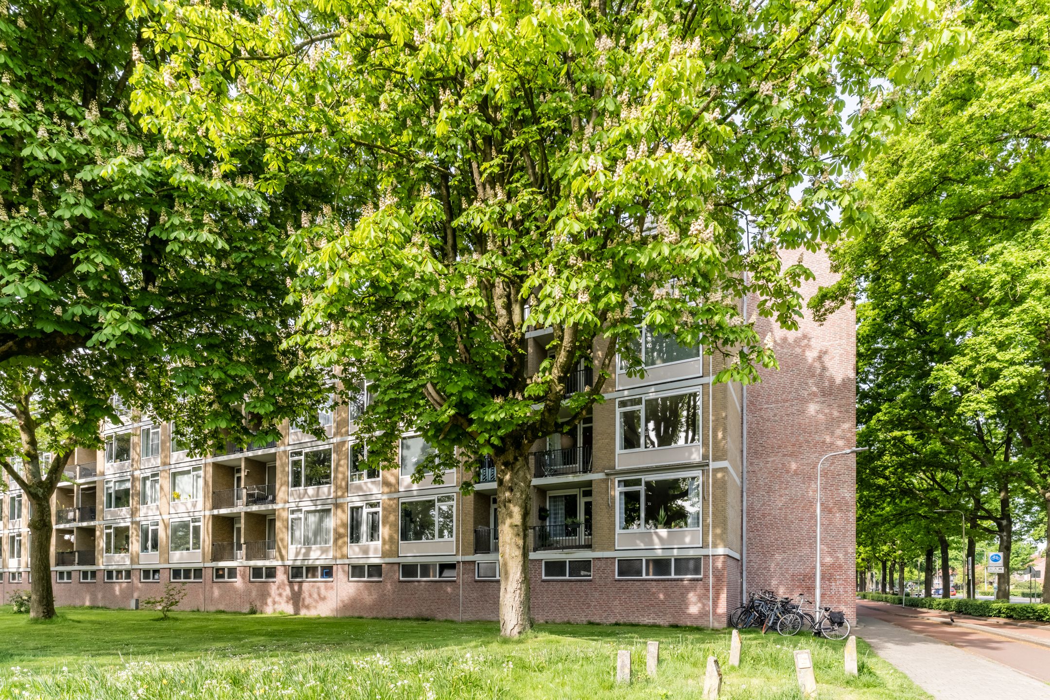 Huijsmansstraat, 18, Tilburg, 5042PG, Noord-Brabant, Nederland 18