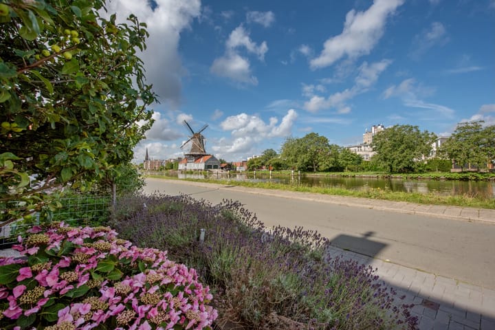 Foto 54 van Oostvlietweg 12-B