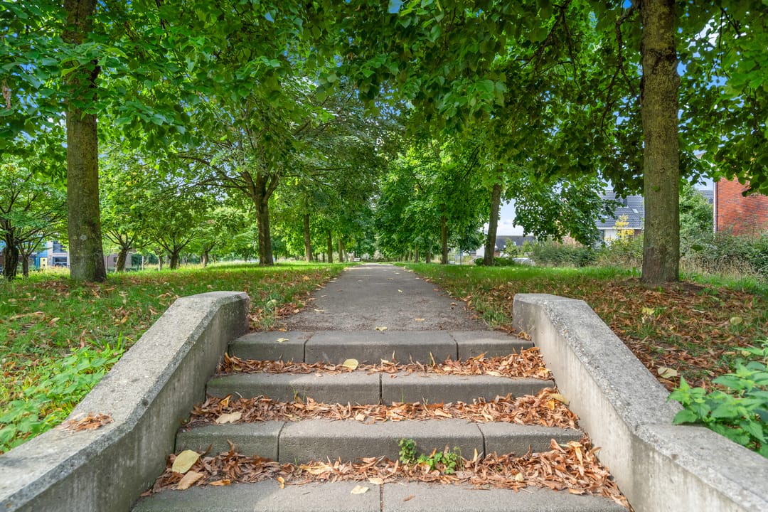 Photo 41 of Landbouw 9