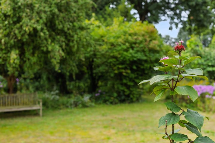 Foto 35 van Asterstraat 17