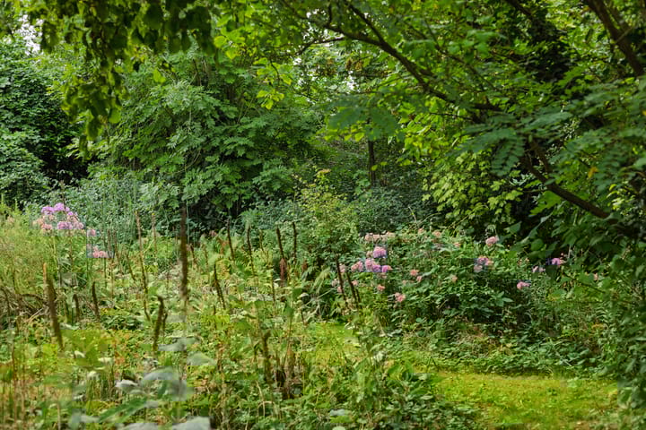 Foto 42 van Asterstraat 17