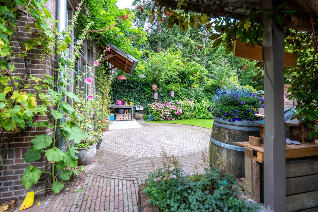 Photo 46 of Gezichtslaan 4