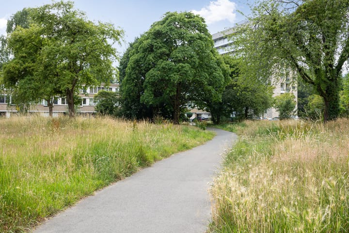 Foto 50 van Maarten Trompstraat 28