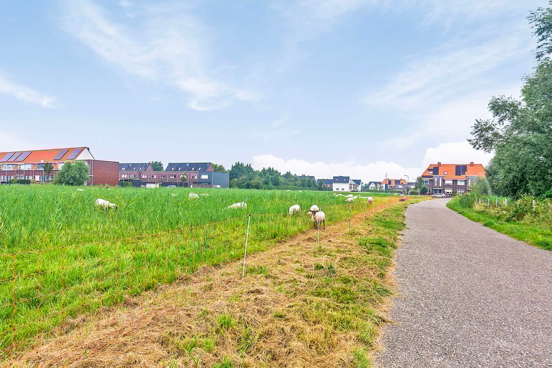 Foto 37 van Paul Butterfieldstraat 29