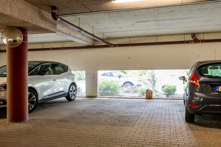 Photo 6 of Robiniastate 11