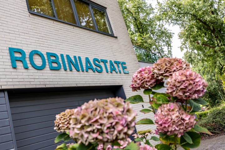 Photo 9 of Robiniastate 11