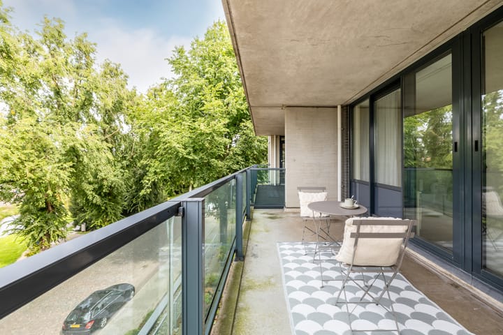 Photo 39 of Robiniastate 11