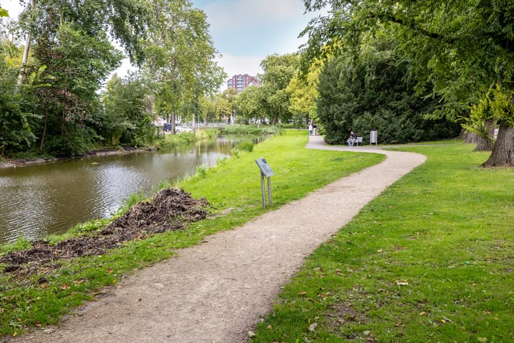 Photo 45 of Robiniastate 11