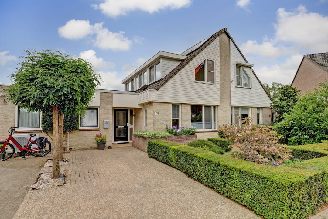 Foto 1 van Kogeldistel 20