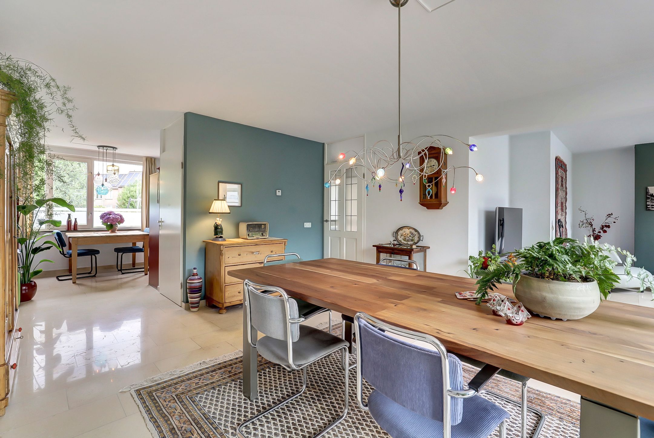 Foto 6 van Kogeldistel 20