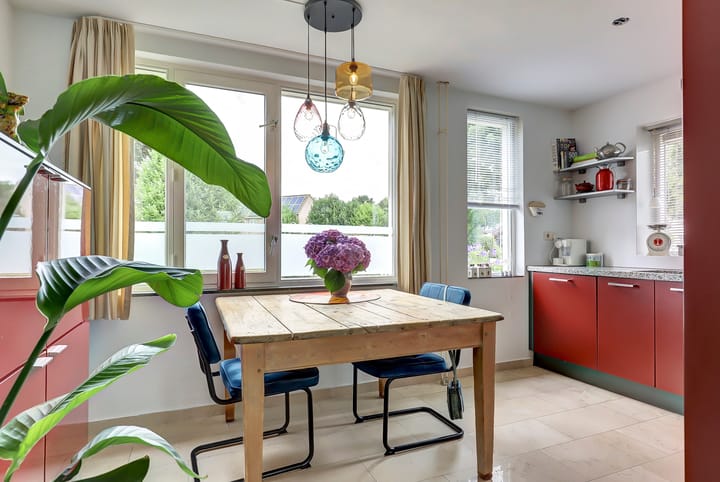 Foto 7 van Kogeldistel 20