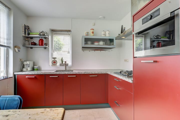 Foto 8 van Kogeldistel 20