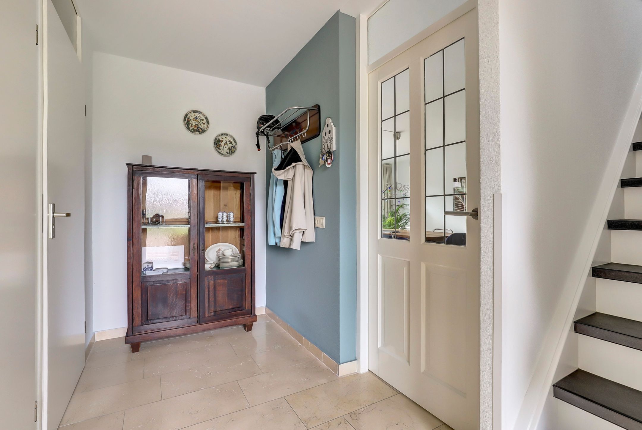 Foto 9 van Kogeldistel 20