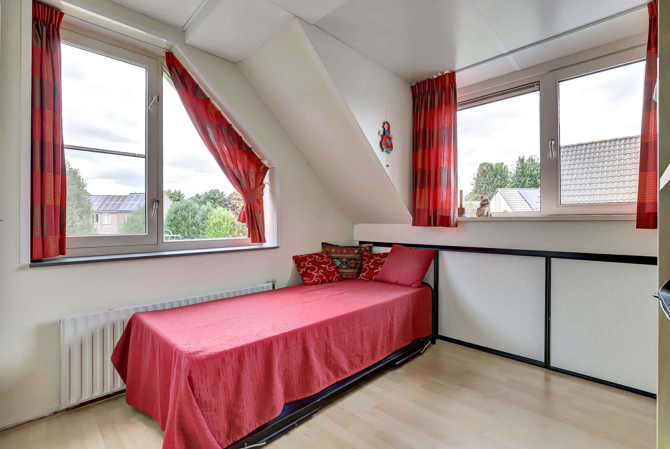 Foto 12 van Kogeldistel 20