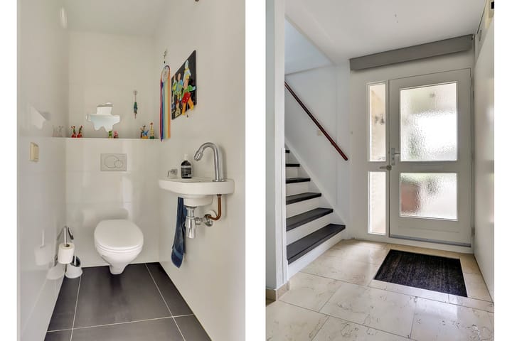 Foto 14 van Kogeldistel 20