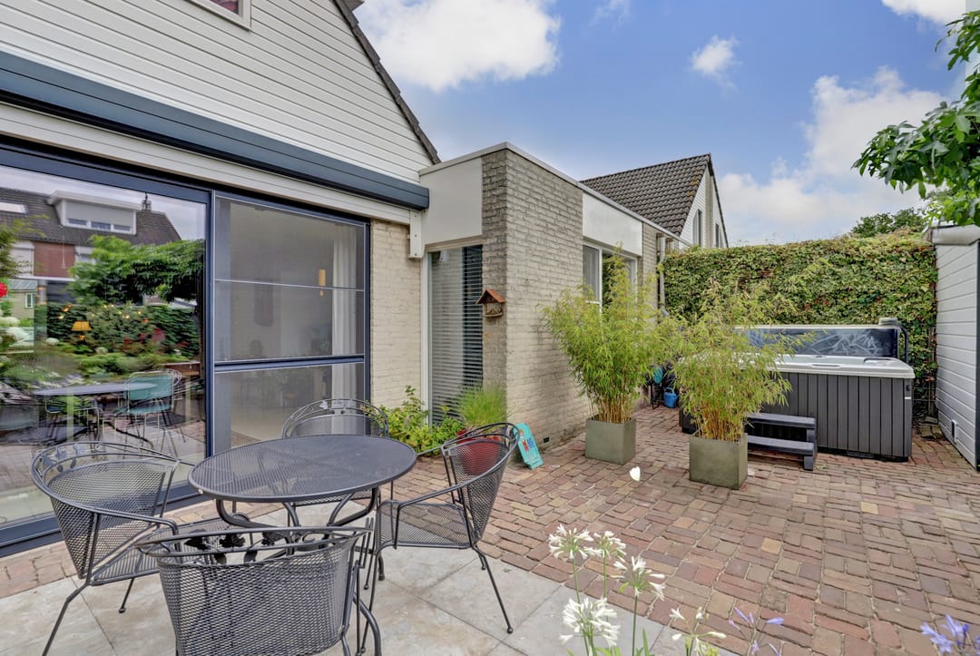 Foto 16 van Kogeldistel 20