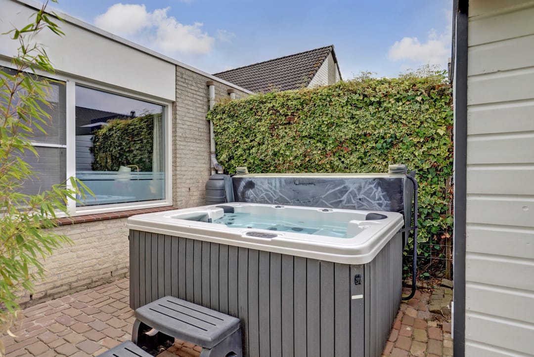 Foto 17 van Kogeldistel 20