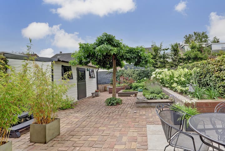 Foto 18 van Kogeldistel 20