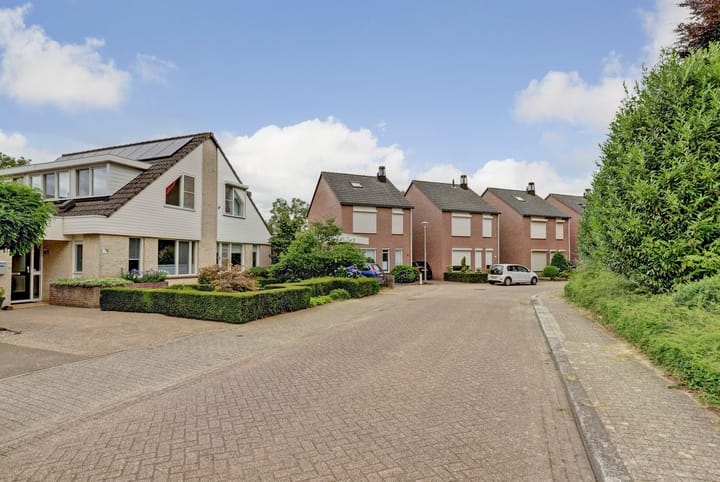 Foto 20 van Kogeldistel 20