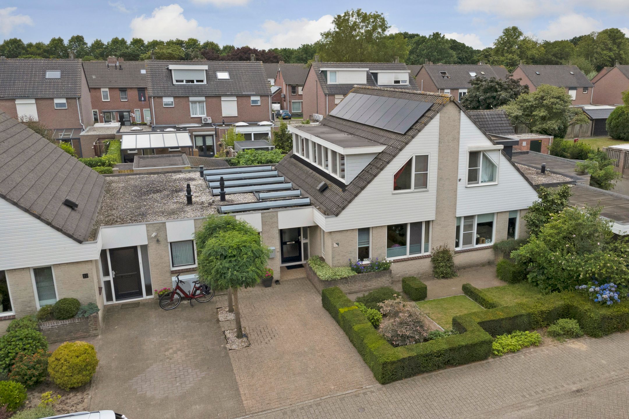 Foto 21 van Kogeldistel 20