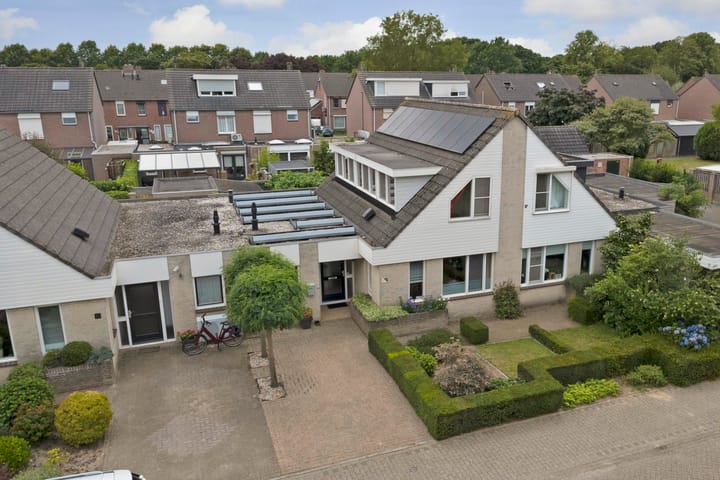 Foto 21 van Kogeldistel 20