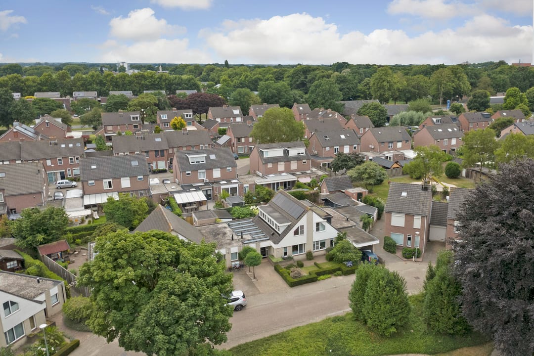 Foto 22 van Kogeldistel 20