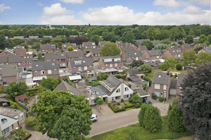 Foto 22 van Kogeldistel 20