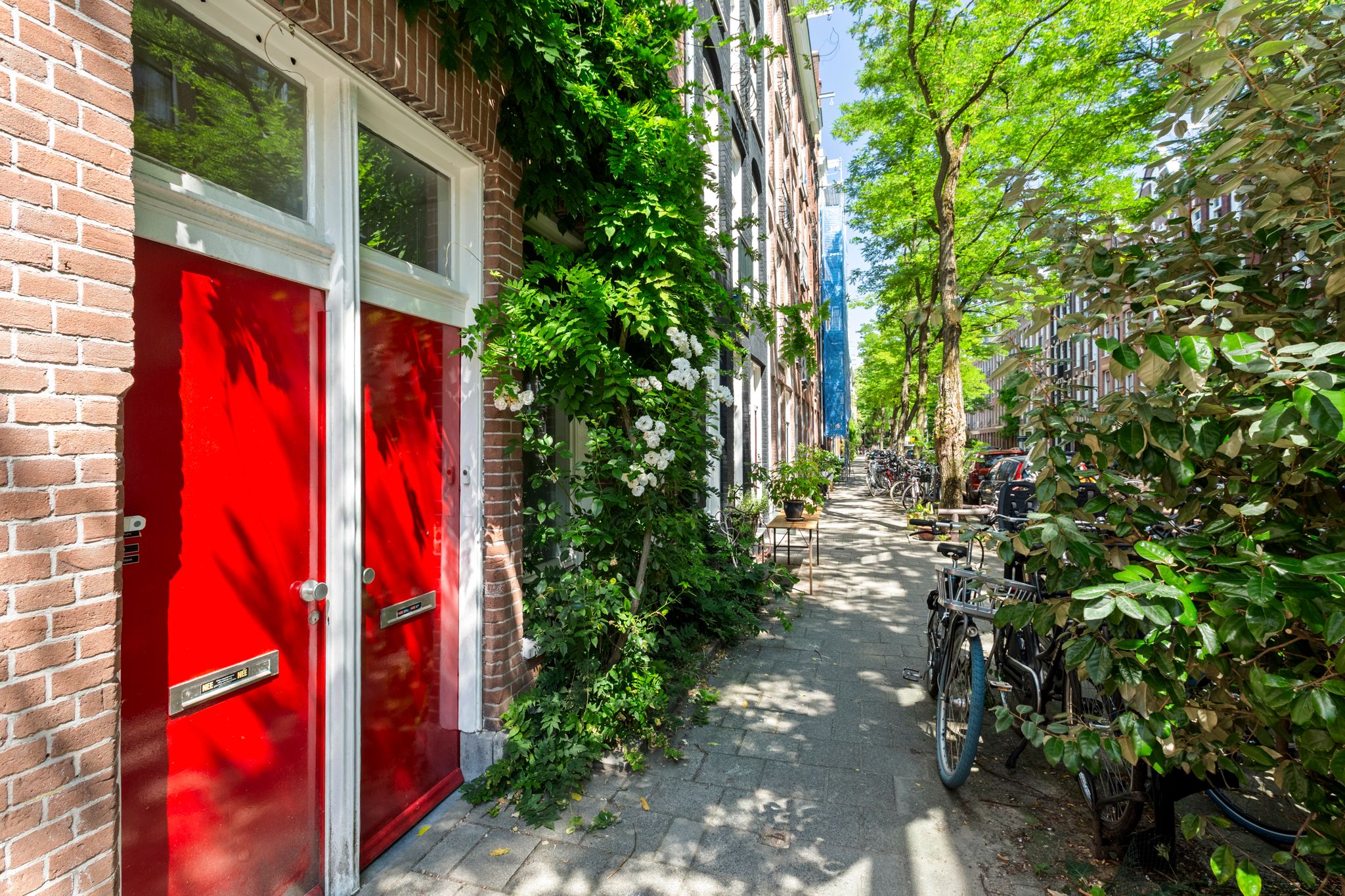 Photo 6 of Wilhelminastraat 46-2