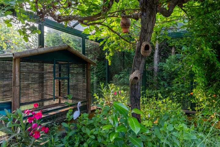 Foto 31 van Kommerdijk 13