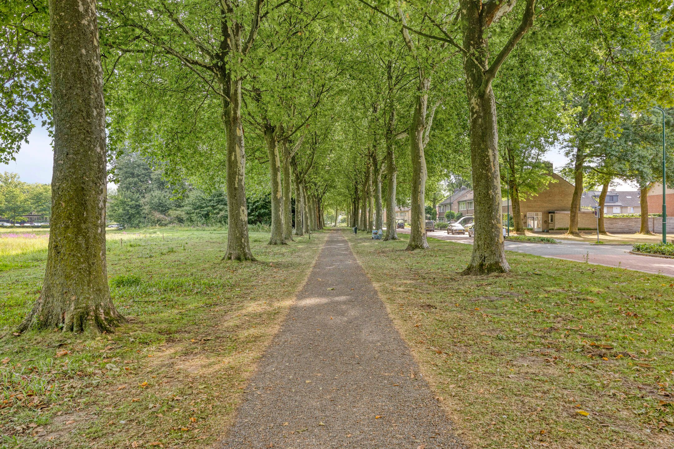 Foto 3 van Nachtegaallaan 39