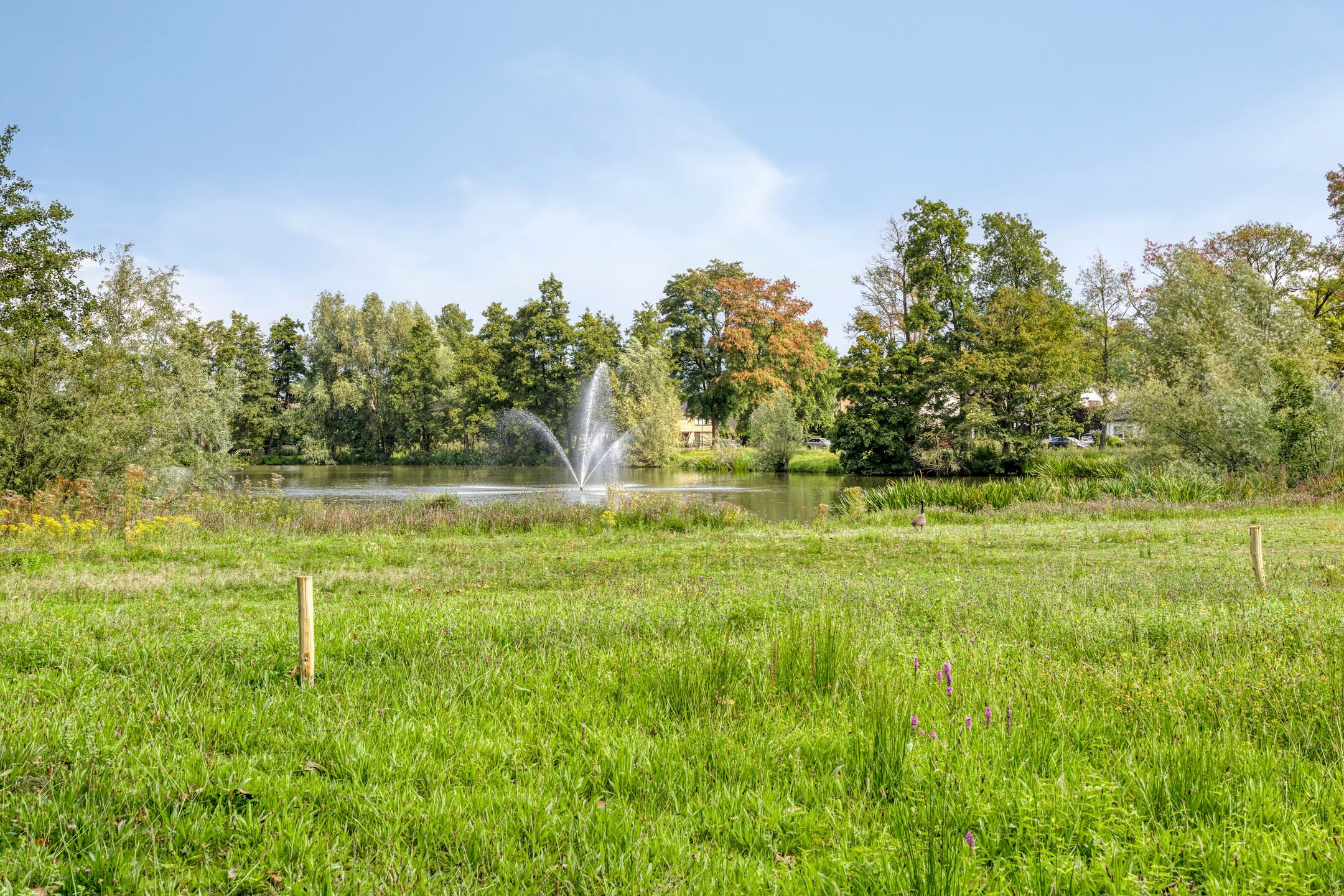 Foto 24 van Nachtegaallaan 39